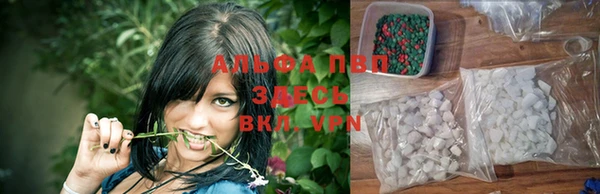 apvp Архангельск