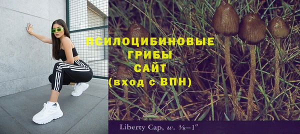 apvp Архангельск