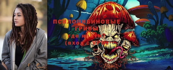 Альфа ПВП Нижний Тагил