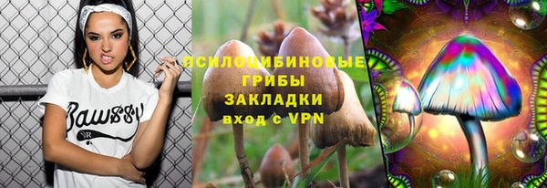 apvp Архангельск