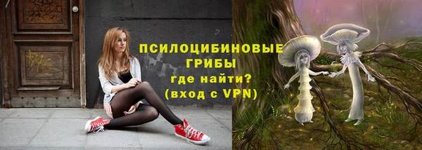 apvp Архангельск