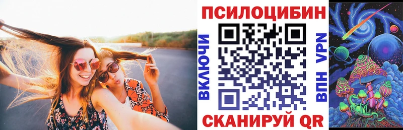 Купить где  Старый Крым  Псилоцибиновые грибы Psilocybine cubensis 